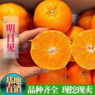 ��Ʒ�N����������Ҋ���������Ә���޽Ӹ̽�����Ǹ��ٮ���Y����