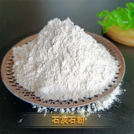 其他非金属;碳酸钙;非金属粉末