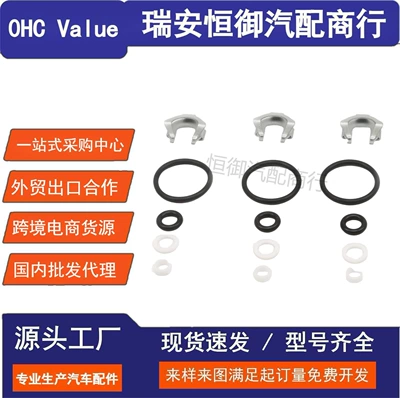 03H198149A Fuel Injector Repair Kit Is Suitable for Volkswagen Audi Q7 Magotan Cc Touareg 3.6 (Oil pump, nozzle)