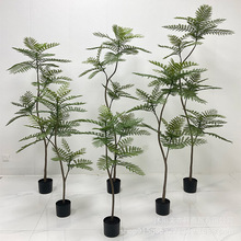 仿真绿植落地盆栽室内客厅装饰摆件绿植批发仿生植物蓝花楹