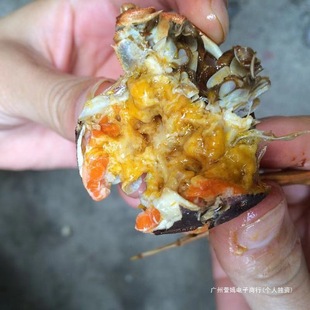 �������S��һԪз����Ԫ��ȫĸ���lзС�з�r�����^ëз������з