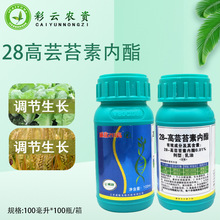 威敌0.01%28-高芸苔素内脂调节生长小白菜小麦农药生长植物调节剂