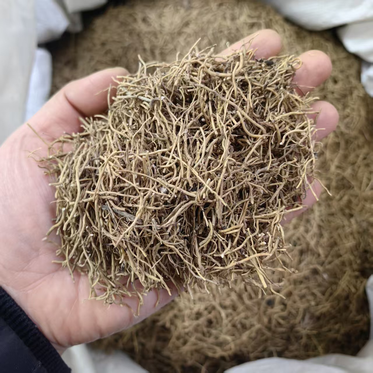 Asarum Powder Xi Xin 细辛 Dried Chinese Wild Ginger Herb Powder 500g Traditional Herbal Ingredient specifications