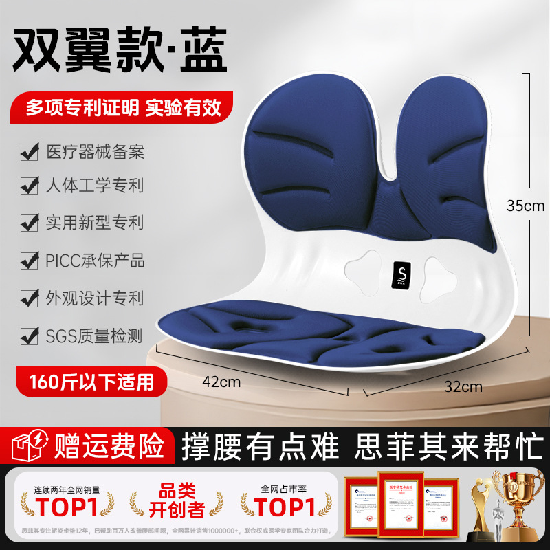 2025 업그레이드된 더블윙 허리보호대 - 스포츠블루 [100만개 이내]