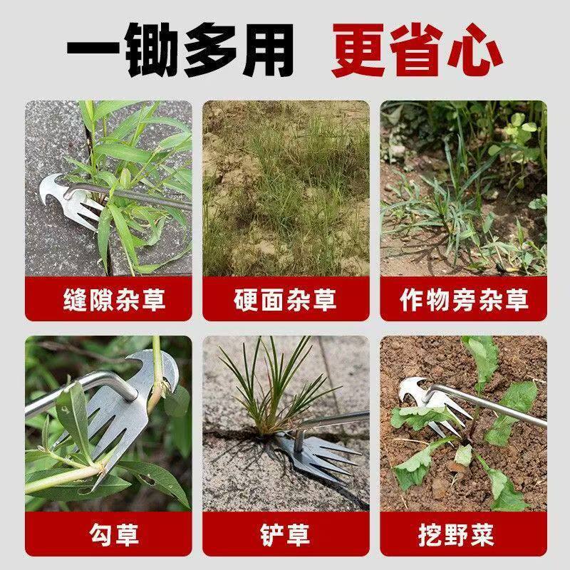 微信图片_20260630152939_151_2.jpg