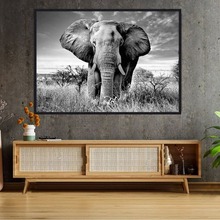 钢化玻璃画现代装饰画黑白灰色调非洲动物大象走廊酒店装饰画