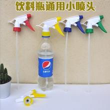 ���ƿ���^�������F�����^���ÿɘ�ѩ��ƿ��ˮ����������쇊�^