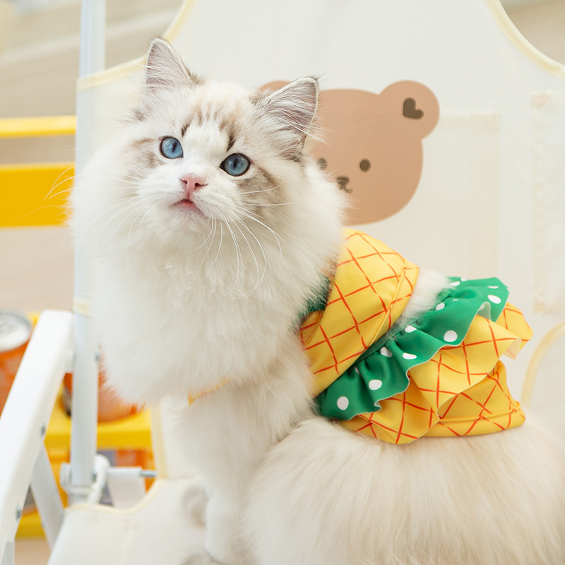 Primavera y verano gato lindo Sling pequeño dinosaurio estilo traje de baño Sling perro natación bikini ropa para perros mascotas