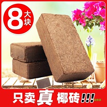 �N���@ˇ����Ҭ��ͨ����Ҭ�u��Ҭ�uÓ�}�M�����ԷN�ˠI�B�Nֲ