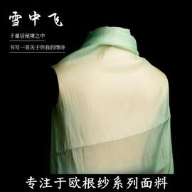 雪花飞雪中飞欧根纱褶皱轻薄飘逸布料女装连衣裙装饰背景纱慢面料