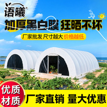 语曦加厚抗老化黑白膜 防晒大棚无滴膜 大棚膜 高透光消雾PO膜