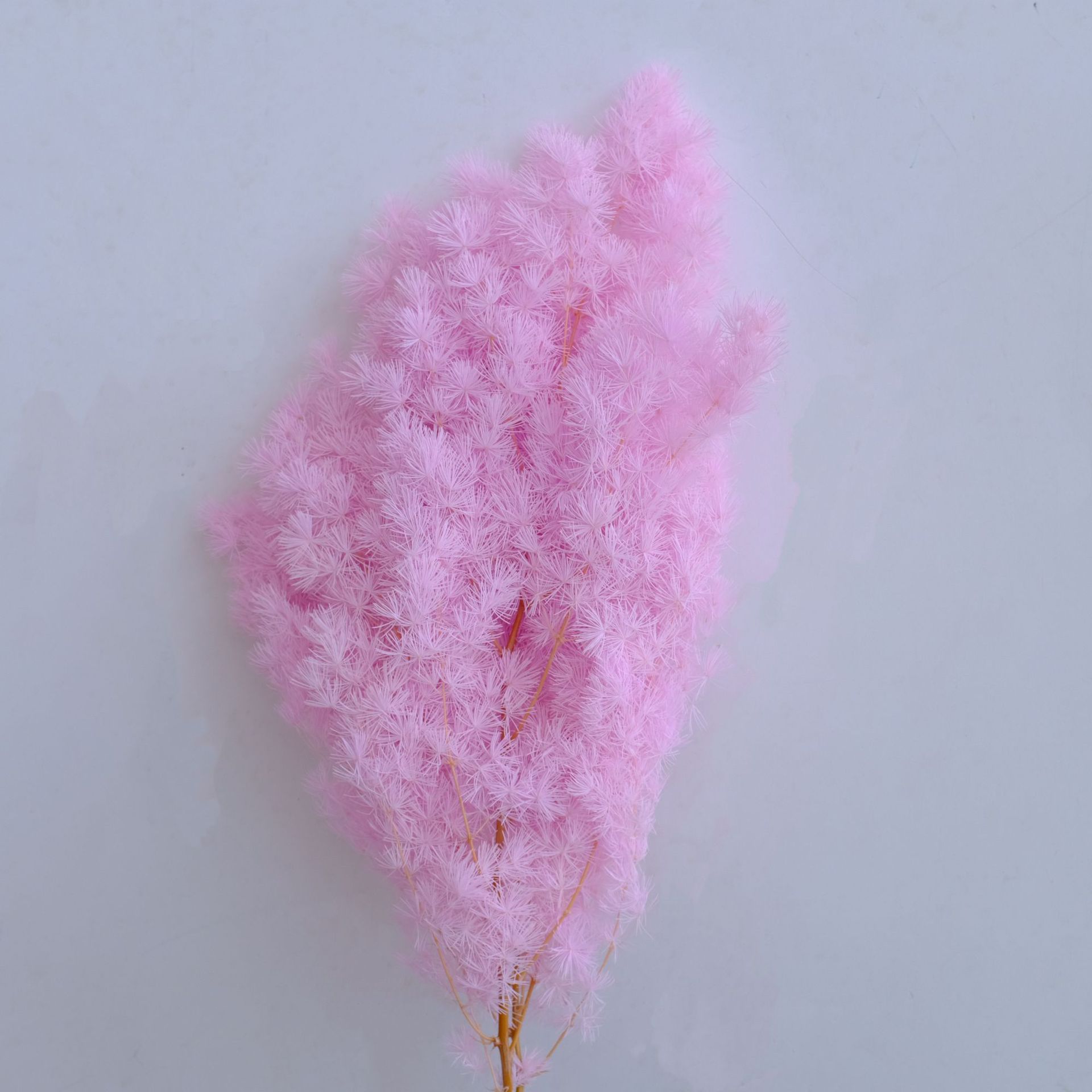 Pink purple