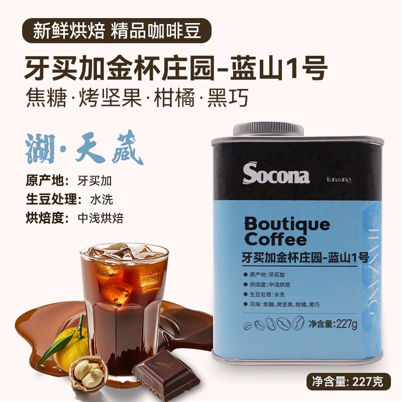 Socona Jamaica Golden Cup Manor Blue Mountain No. 1 Boutique Coffee Beans Medium Light Roasted and Washed Hand-washed Single Beans Socona Jamaica Golden Cup Manor Blue Mountain No. 1 Boutique Coffee Beans Medium Light Roasted and Washed Hand-washed Single Beans