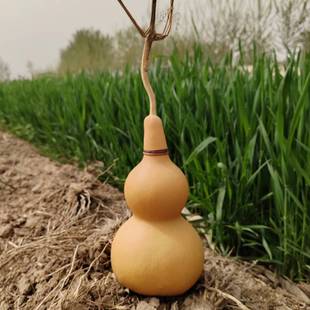 Wholesale open gourd pendant large decoration door to door home safe porch living room bedroom hollow with seed trumpet