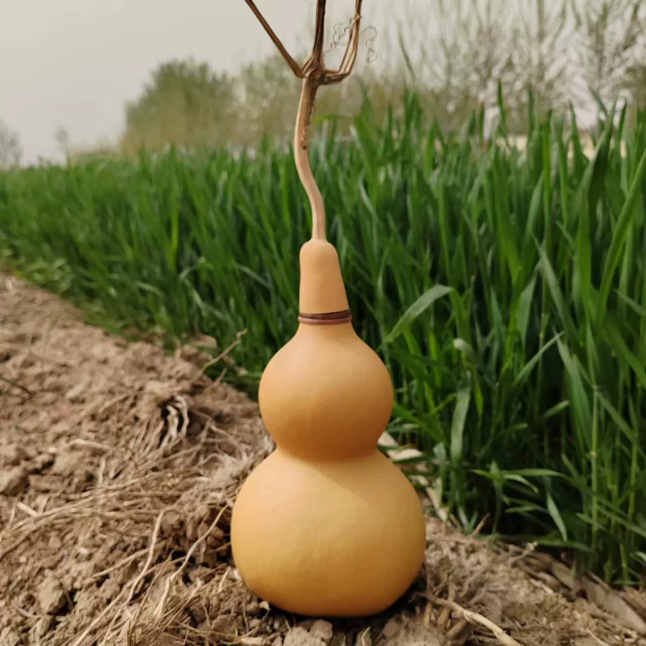 批发开口葫芦挂件大摆件门对门家居平安玄关客厅卧室空心带籽小号