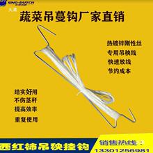 �����h�����S�����t�����h���������ѵ������h������ԃ�ͷ��ăr