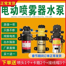 늄Ӈ��F��ˮ�ø߉�С��12V�R�_��Ĥ��늙C�r�ô�ș�C�����ȫ