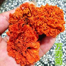 野山无硫万寿菊 黄菊花 寿菊干花朵500克包邮店有腊梅花真货好货