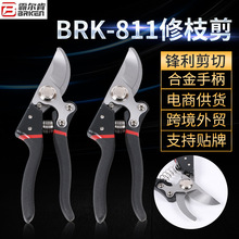 修枝剪园林工具剪刀果树枝花园绿化修剪园艺植物粗枝剪子果树剪