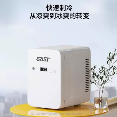 SAST Small Mini Car: Soyuducular