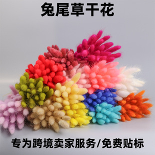 ��β�ݸɻ����������Դ�^�S�ҁ��R�dtemuϣ���羳���u��Ʒ���N��