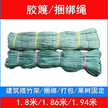 �z�� ���������� ���ؽ��B��������ӌ����K ����