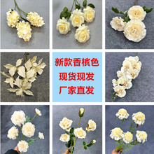 �㙉ɫ�ٻ���c��Y�þƵ걳������·�����T���컨���滨���㙉ɫ