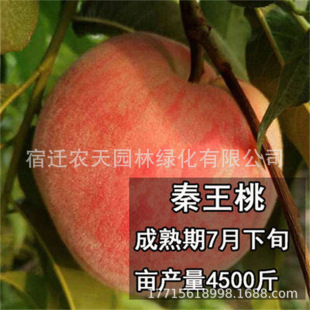 �޽����Ҵ�ѩ�Ҙ���������ݼt�������Ե�ͥԺ�Nֲ����Y��������