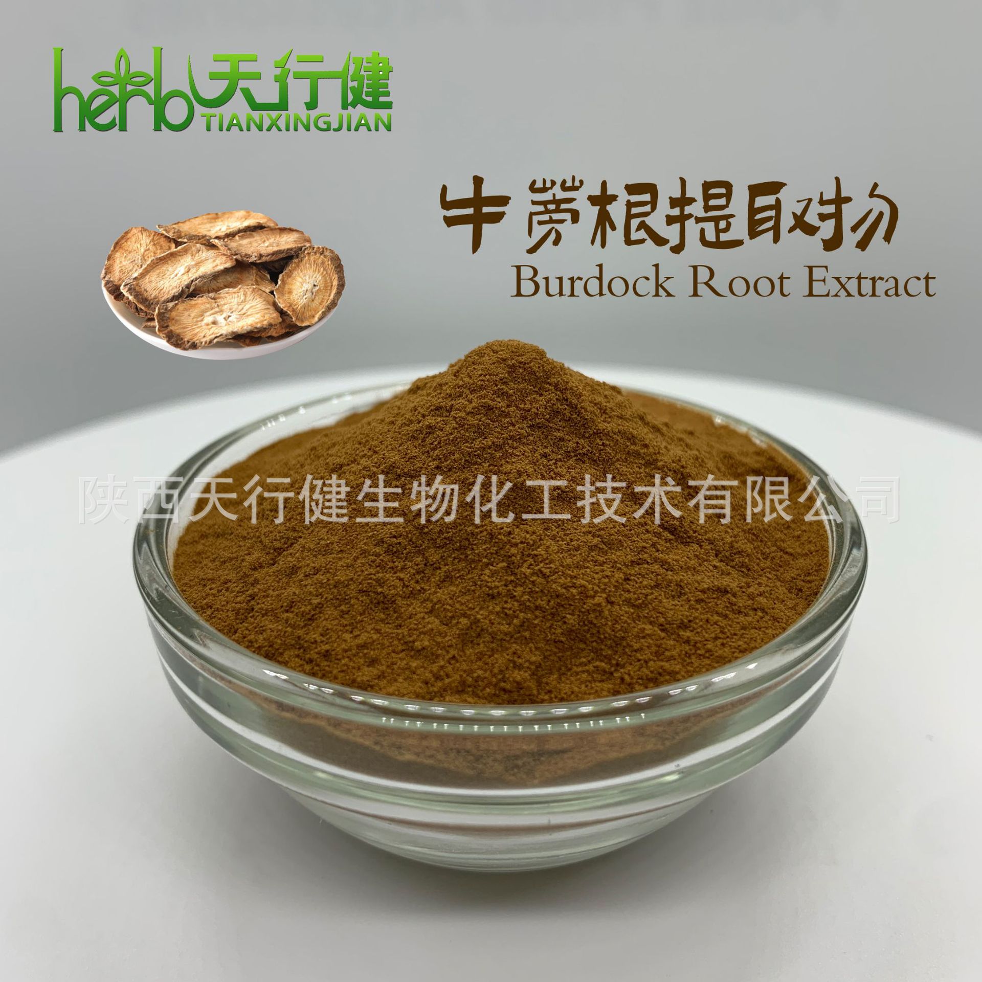牛蒡根提取物 牛蒡子苷20% HPLC检测 牛蒡粉 SC工厂现货包邮