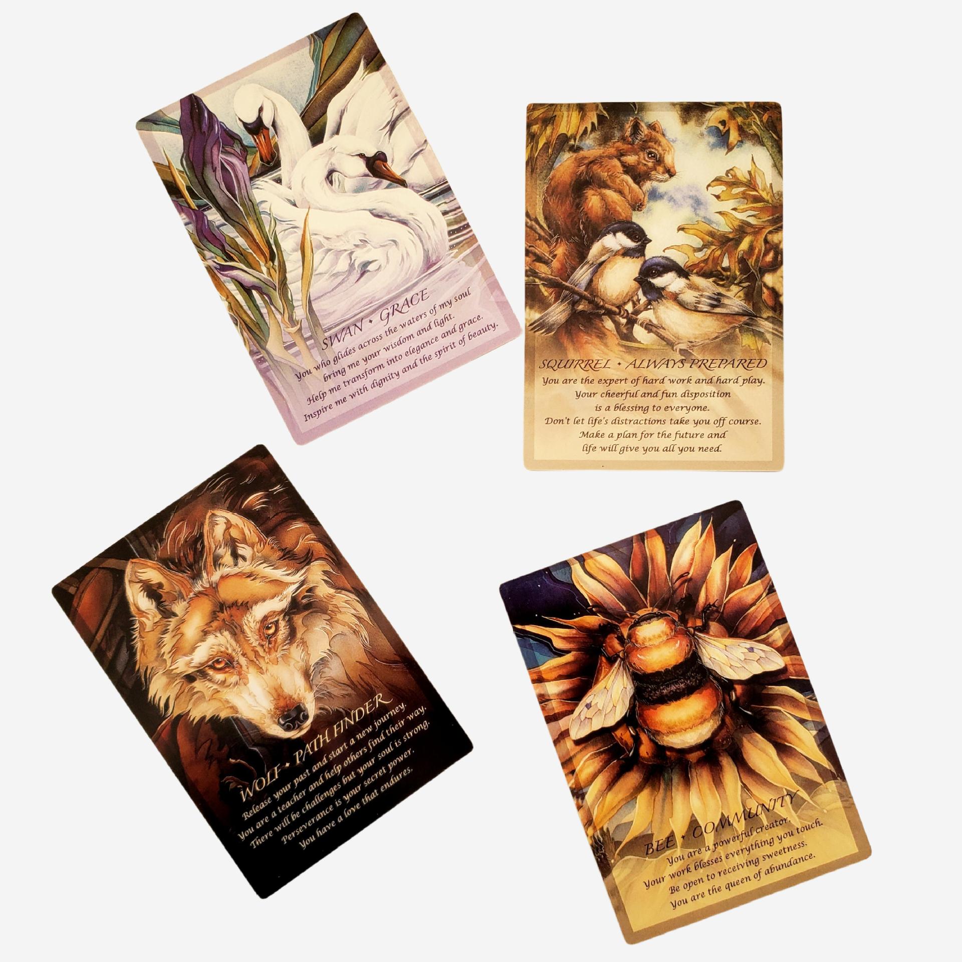 Spirit Of The Animals Orakel Deck Tierseele Gesellschaftsspiel_voghion.com