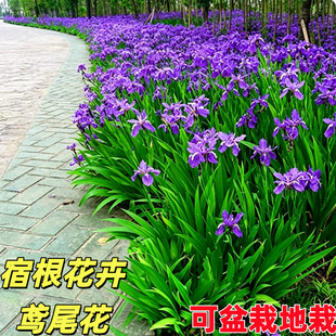 �Lβ�����m���Sβ�̨ͥԺ�G��������m�����̨ͥԺ���@���R����