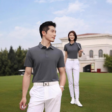 HL.83006�����޷�������Polo������ʱ��T������͸���������ݿ���
