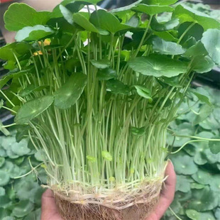 �~�X���ļ����Ի��ܾGֲ�k�����辰�҃�ˮ����X�����lˮ�B