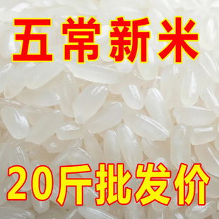 �����ס��峣������20���L������10��5���r�����׮a��ֱ�l