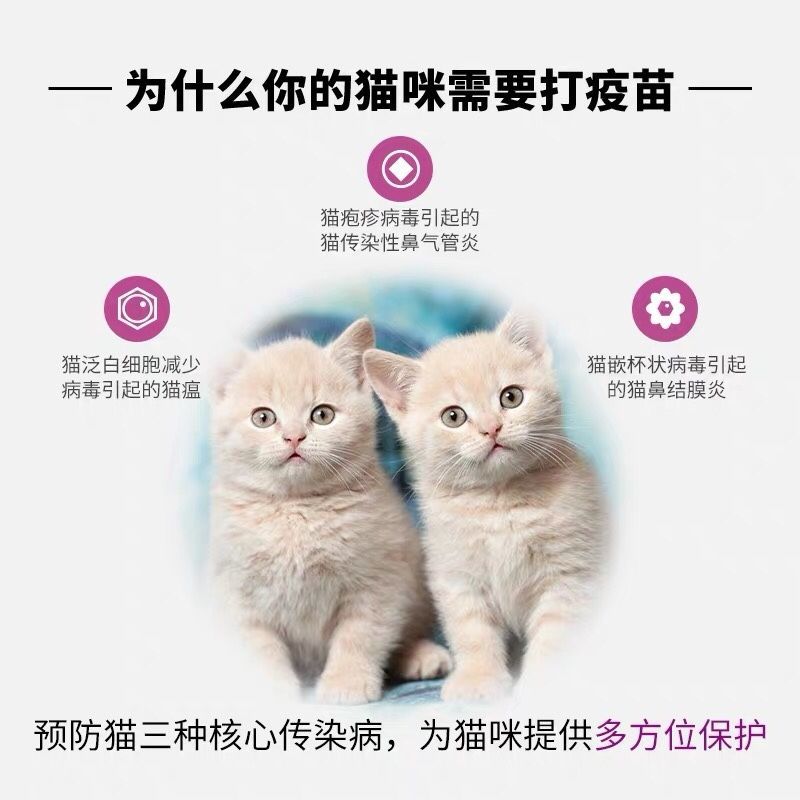 250E32429CCF5B7DB711246B0311D1