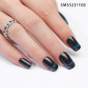 Nail stickers, fake nails for nails, cat's eye, wholesale