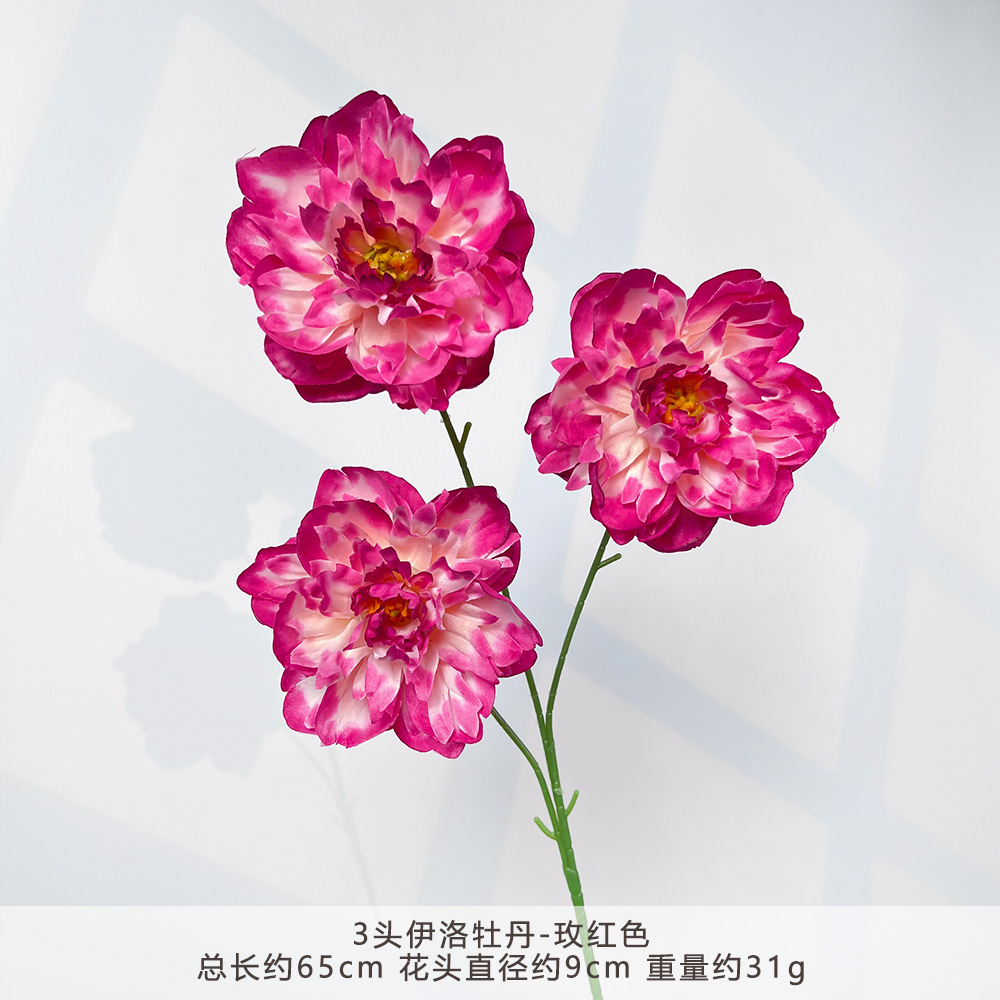 TY-3 หัว Yiluo Peony - สีแดงกุหลาบ