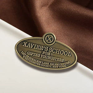 Movie X-Men Brooch Xavier Gifted Young School Badge Movie Inspired Enamel Pin Decoration