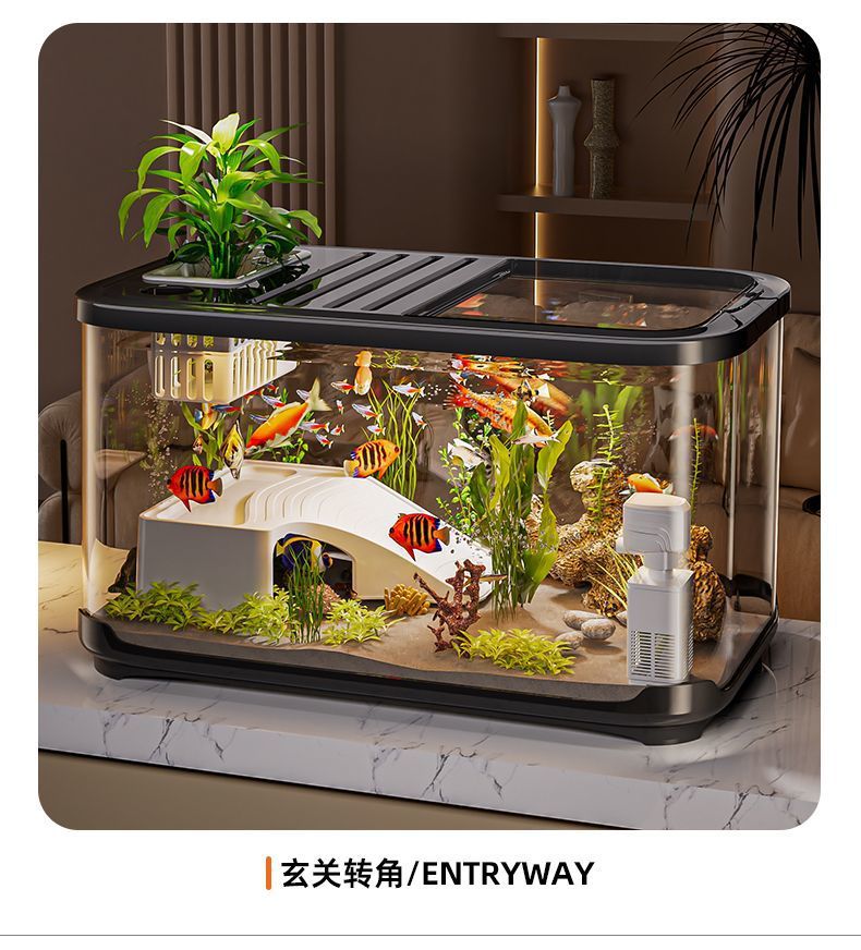 f99213fa-3fc6-4a24-a67b-20953904ed07.jpe