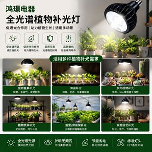����ֲ���a���ȫ���V�ҾӾGֲ��ɫ��K��ާ�ֲ���̫ꖟ����l