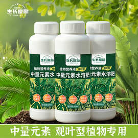 生长魔励浓缩观叶营养液绿萝绿叶植物专用花肥料观叶型营养液包邮