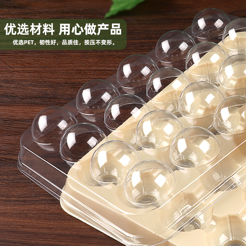 Dongkui Yangmei caja grande boutique engrosada blister caja de embalaje desechable sola bandeja Yangmei vacío expreso bandeja