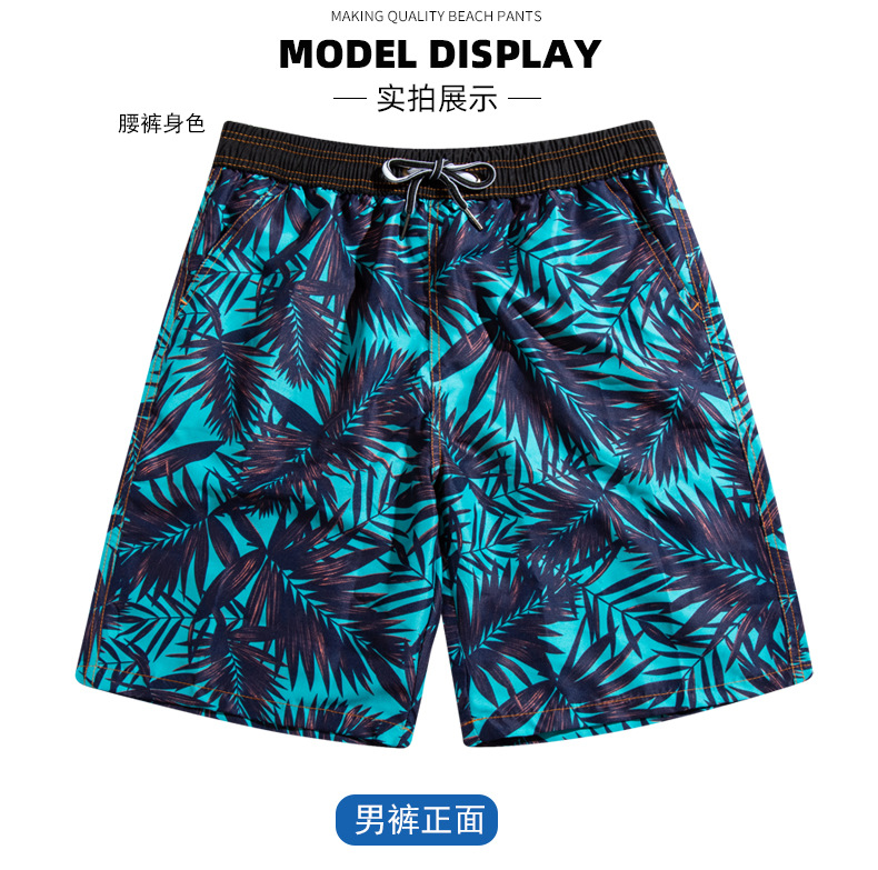 椰子树_13.jpg
