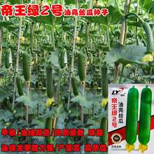 �����G2̖�z�ϷN���s�����촨������һ̖�z�ϷN�ѹ��⼚��ζ����