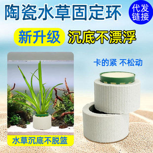 定植篮水草种子套装2026夏季新款可降解快速发芽