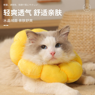 Sunflower Elizabethan Collar Pet Collar Cat Elizabethan Collar Dog Collar Sterilization Anti-Licking Headgear
