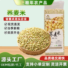 当季新货荞麦米袋装农家五谷杂粮原料麦仁米饭三角麦子荞麦粒批发