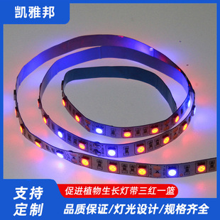 ��12v24v���t�ļt��tһ�{ֲ����{��������ˮ�����led��
