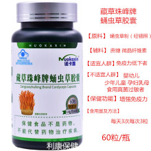 藏草珠峰牌蛹虫草胶囊增强免疫力诺卡鑫60粒/瓶