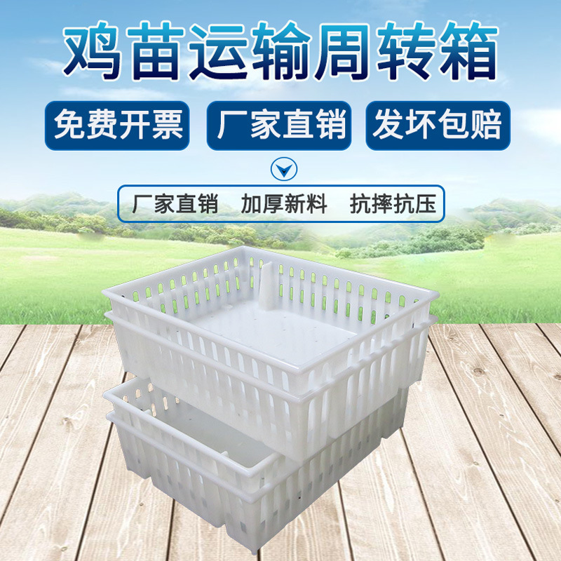 鸡苗筐小鸡周转箱 厂家批发长方形加厚白色新料运输框量大从优